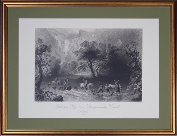 County Kerry - Killarney - Taking a Stag near Derrycunihy Cascade